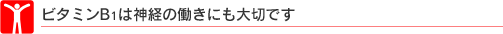 �r�^�~��B1�͐_�o�̓����ɂ���؂ł�