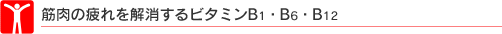�ؓ��̔�����������r�^�~��B1�EB6�EB12