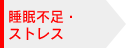 �����s���E�X�g���X