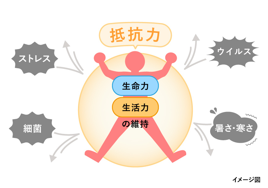 体力をつけるために日頃からできる工夫は？｜がんばるあなたに。疲れの情報局｜アリナミン