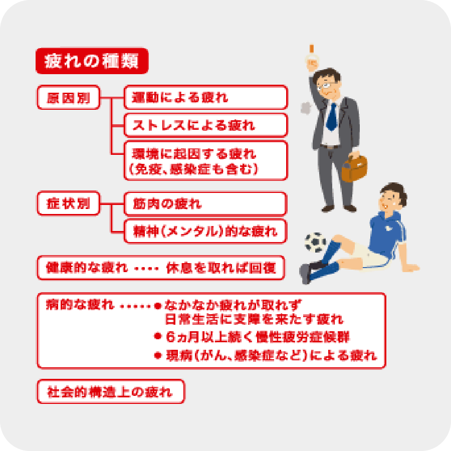 疲れの種類 疲れの種類 疲れの基礎知識 がんばるあなたに 疲れの情報局 アリナミン