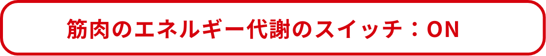 筋肉のエネルギー代謝のスイッチ:ON