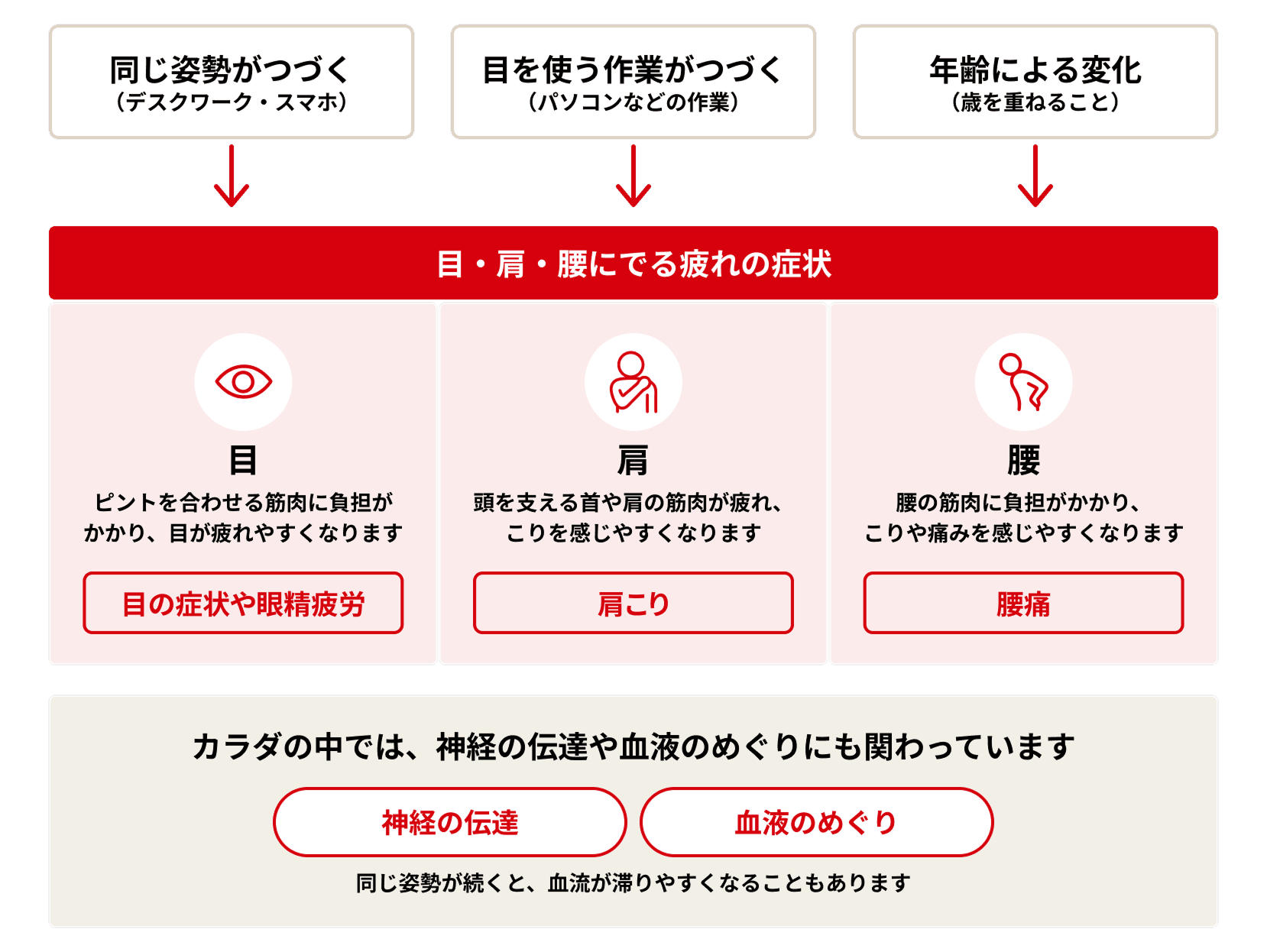①細胞 酸化ストレス 細胞内の部品が変化 ②部品がさび付く 修復エネルギー(ATP)が必要 処理工場で部品を再生・交換する ③修理・修復