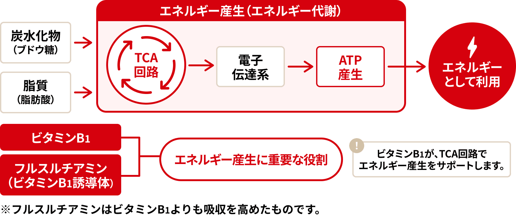 ビタミンB1とエネルギー産生の関係を表す図
