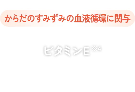 からだのすみずみの血液循環に関与 ビタミンE ※4