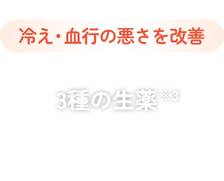 冷え・血行の悪さを改善 3種の生薬 ※3