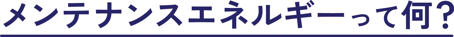 メンテナンスエネルギーって何？