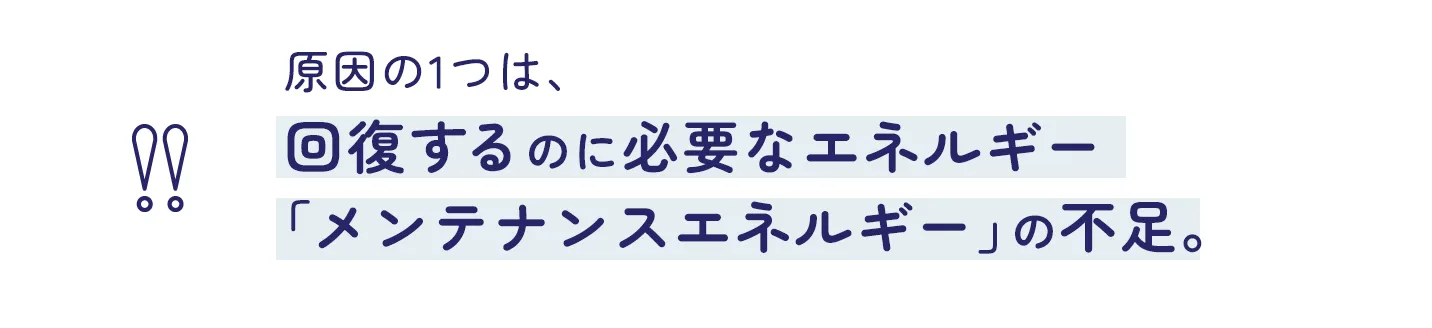 原因の1つは、回復するのに必要なエネルギー 「メンテナンスエネルギー」の不足。