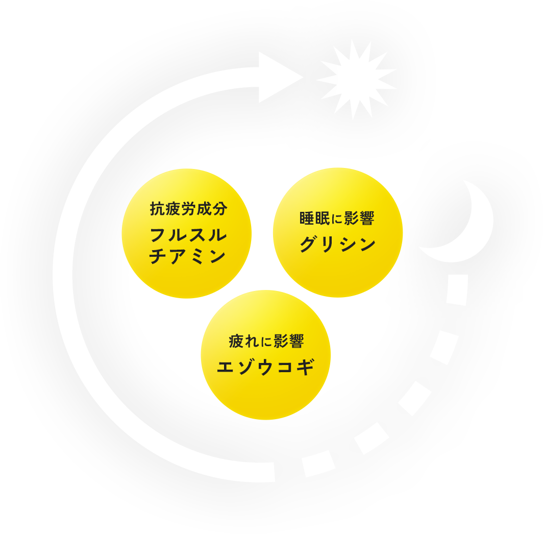 抗疲労成分 フルスルチアミン 睡眠に影響 グリシン 疲れに影響 エゾウコギ