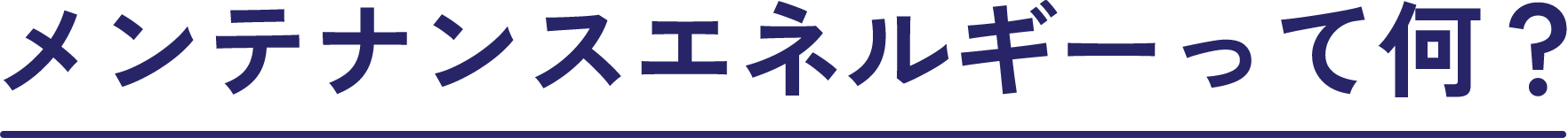 メンテナンスエネルギーって何？
