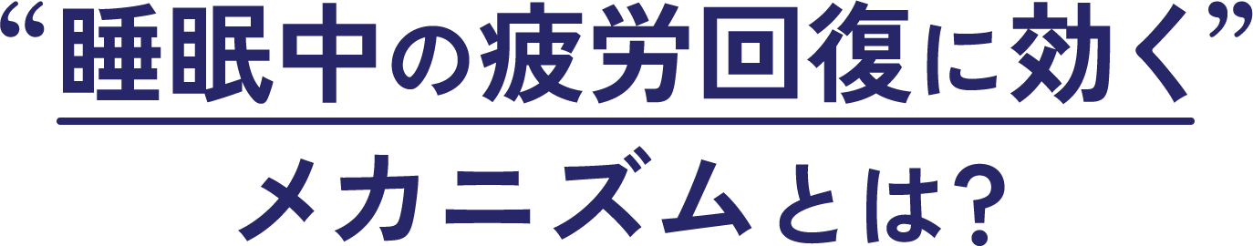 “睡眠中の疲労回復に効く”メカニズムとは？