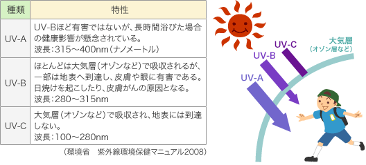 Vol 21 真夏でなくても油断禁物 紫外線と 疲れ の意外な関係 元気の雑学 がんばるあなたに 疲れの情報局 アリナミン